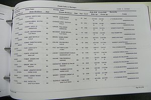 Henderson Co, NC, Marriages Male & Female, 2000 - 2004, (298).JPG
