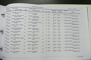 Henderson Co, NC, Marriages Male & Female, 2000 - 2004, (320).JPG