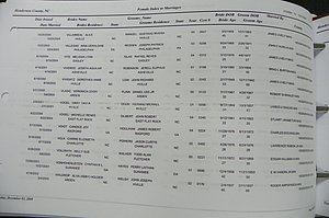 Henderson Co, NC, Marriages Male & Female, 2000 - 2004, (480).JPG