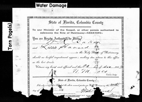 Baker, Walter R to Lillie Eva Havird, Columbia Co, FL.jpg