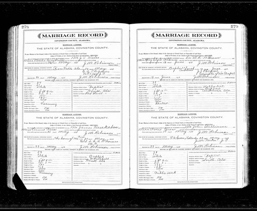 Williams, John Jay to Annie E Cross, Covington Co, AL.jpg