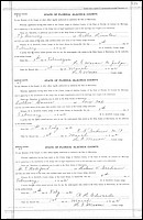 Carver, Luther C to Lois C Cox, Alachua Co, FL.jpg