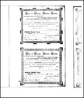 Stokes, Erastus to Mattie Bryan, Houston Co, GA.jpg