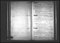 Williams, James to Amanda J M Lee, Screven Co, GA.jpg