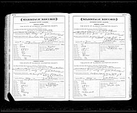 Williams, John Jay to Annie E Cross, Covington Co, AL.jpg