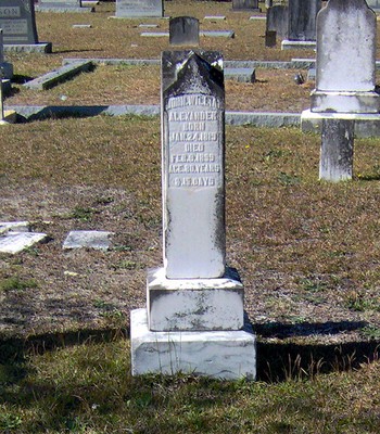 Alexander, John Wm Reese, Newman Swamp Cemetery, Darlington Co, SC.jpg
