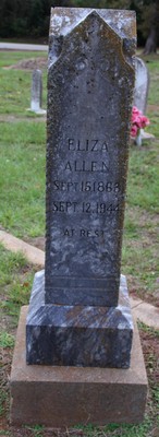 Allen, Eliza J Huggins, Mount Zion Cemetery, Cherokee Co, TX.jpg