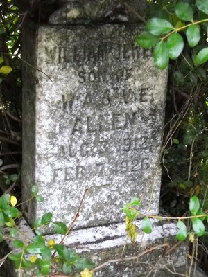 Allen, William Jewell, Alto City Cemetery, Cherokee Co, TX.jpg