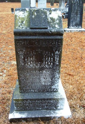 Andrews, Alfonso S, Mount Pleasant Cemetery, Lee Co, SC.jpg
