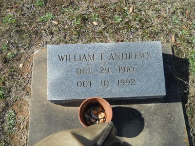Andrews, William T, Old Town Cemetery, Conecuh Co, AL.jpg
