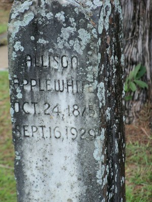 Applewhite, Allison Estelle Brooks, Greenwood Cem, Jackson Co, FL.jpg