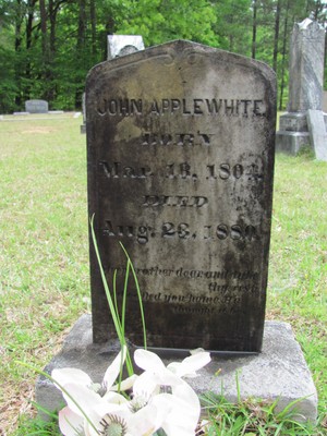 Applewhite, John, Pleasant Hill Cemetery, Calhoun Co, MS.jpg