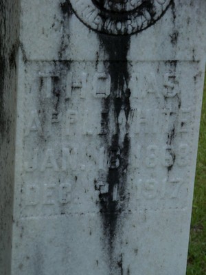 Applewhite, Thomas, Greenwood Cem, Jackson Co, FL.jpg