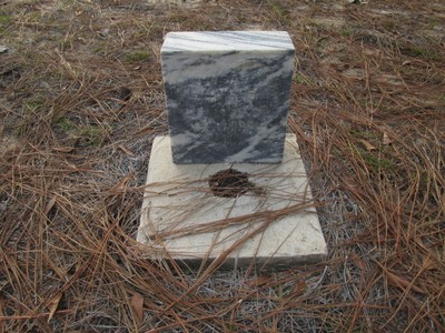 Baker, Rosa Neta, Pineview Cemetery, Putnam Co, FL.jpg