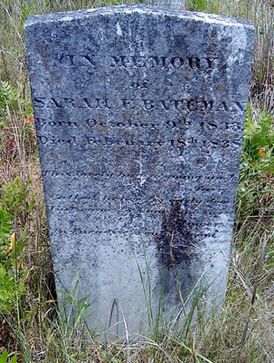 Bateman, Sarah F, Henry Scarborough Cem, Lee Co, SC.jpg