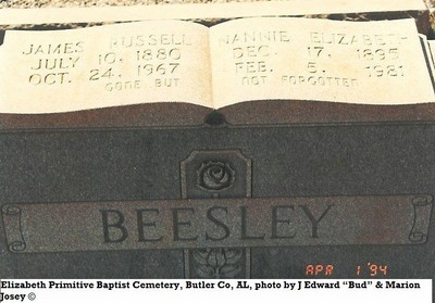 Beasley, Nancy Elizabeth Josey, Elizabeth Baptist Cem, Butler Co AL.jpg