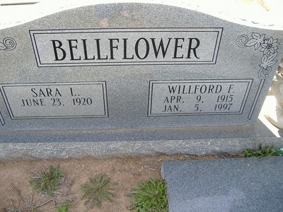 Bellflower, Wilford Freman & Sara Louise Barber, Mount Gilead Cem, Decatur Co, GA.jpg