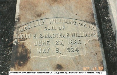 Bevis, Mattie Lily, Greenville Cem, Meriweather Co, GA.jpg