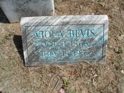 Bevis, Viola V Wilder, Bevis Cem, Heard Co, GA.jpg