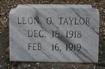 Taylor, Leon Oswald, Bushy Creek Cemetery, Cook Co, GA.jpg