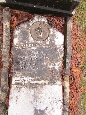 Taylor, Rebecca Innocence Hodnet, Mount Pilgrim Cem, Coweta Co, GA.jpg