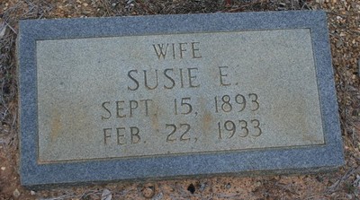 Taylor, Susie Elvira Josey, Brushy Creek Cemetery, Cook Co, GA.jpg