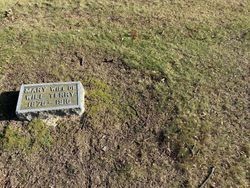 Terry, William W, Waterford Cemetery, Oakland Co, MI.jpeg