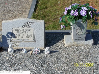 Weaver, Thomas, Pigeon Creek Baptist Cem, Covington Co, AL.jpg