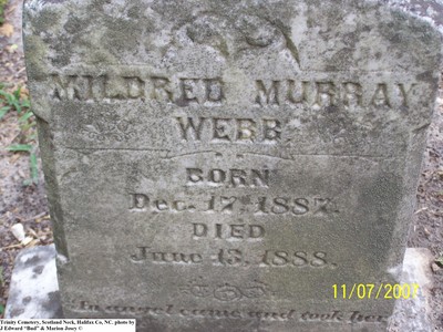 Webb, Mildred Murray, Trinity Cem, Halifax Co, NC.jpg