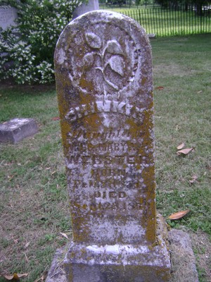 Webster, Chickie, Webster Cem, Maury Co, TN.jpg