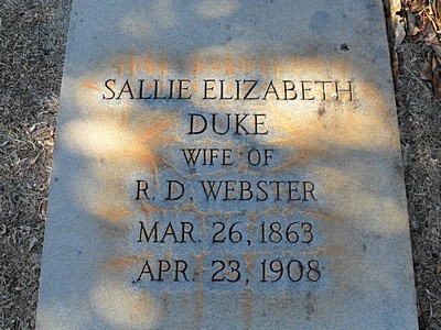Webster, Sallie Elizabeth Dukes, Brownwood Cem, Washington Co, GA.jpg