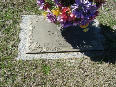 Wesley, Carol Gleen, Sunrise Cem, Butler Co, AL.jpg