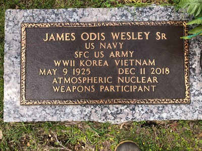 Wesley, James Otis, Brookside Cem, Elmore Co, AL.jpeg