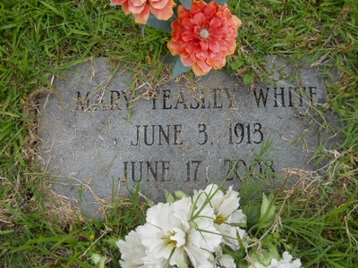 White, Mary Ella Teasley, Palestine Cem, Clay Co, MS.jpg