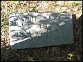 Alsop, Catherine Savage, Enfield Cem, Halifax Co, NC.jpg