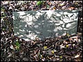 Alsop, Samuel Benjamin, Enfield Cem, Halifax Co, NC.jpg