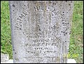 Anthony, Whitmel Hill,  Trinity Cem, Scotland Neck, Halifax Co, NC.jpg