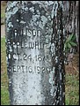 Applewhite, Allison Estelle Brooks, Greenwood Cem, Jackson Co, FL.jpg