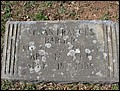 Basinger, Susan Borger, Chestnut Hill Cemetery, Rowan Co, NC.jpg