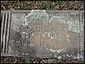 Basinger, William Allison, Chestnut Hill Cemetery, Rowan Co, NC.jpg