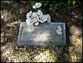 Bass, Mary Sue Gilliam, Grahamville Cemetery, Jasper Co, SC.jpg