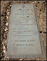 Beasley, William Jesse, Magnolia Cem, Darlington Co, SC.jpg