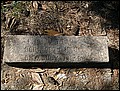 Beattie, Ezra Daniel, Bay Springs Cem, Washington Co, GA.jpg