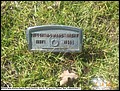 Beene, Jesse Howard, Pleasant Hope Cemetery, Cass Co, TX 042.jpg