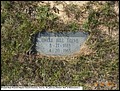 Beene, Uncle Bill, Pleasant Hope Cemetery, Cass Co, TX 044.jpg