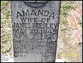 Beesley, Amanda, Fairmount Baptist Cem, Red Level, Covington Co, AL.jpg