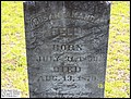 Bell, Susan Amanda, Mt. Elam Baptist Church Cem, Darlington Co, SC.jpg