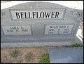 Bellflower, Wilford Freman & Sara Louise Barber, Mount Gilead Cem, Decatur Co, GA.jpg