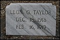 Taylor, Leon Oswald, Bushy Creek Cemetery, Cook Co, GA.jpg