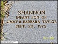 Taylor, Shannon, Pigeon Creek Baptist Cem, Covington Co, AL.jpg